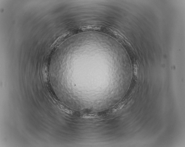 X0000075410915200609291702