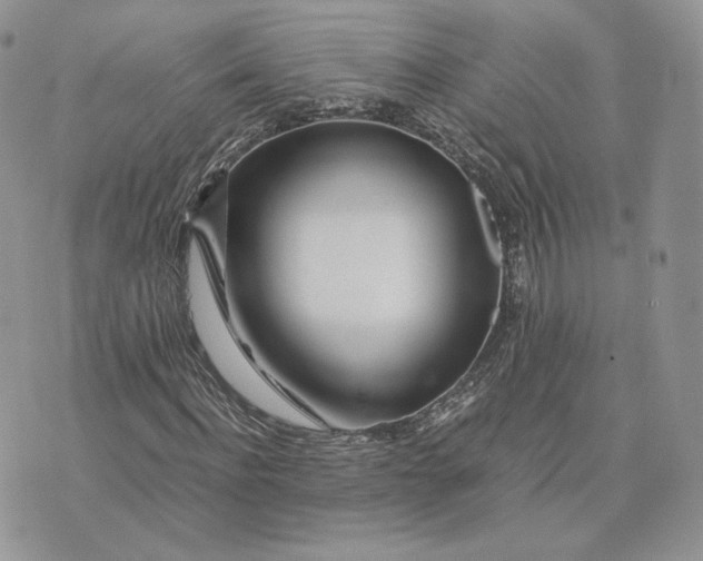 X0000075410916200609291702