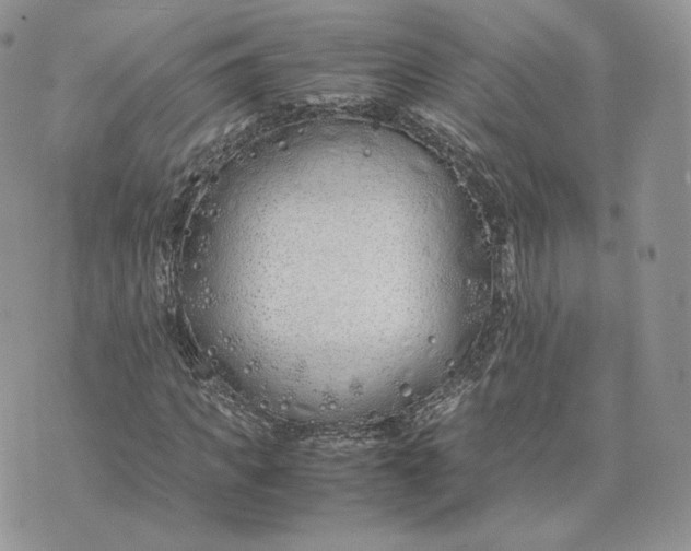 X0000075410917200609291702