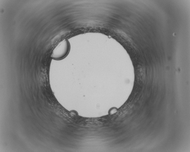 X0000075410918200609291702