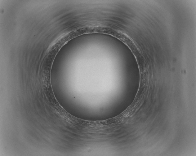 X0000075410919200609291702