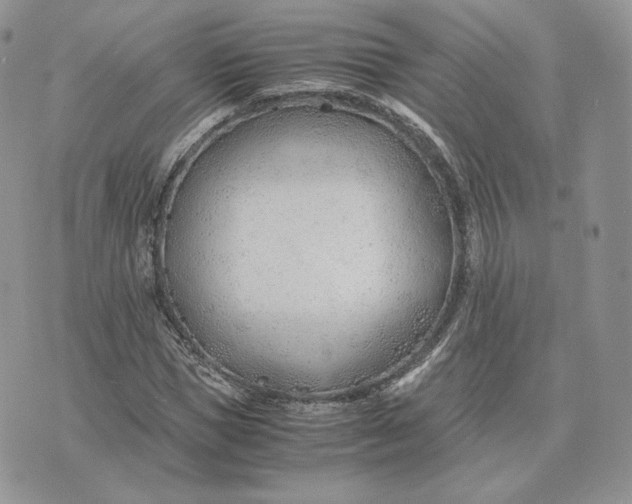 X0000075410921200609291702