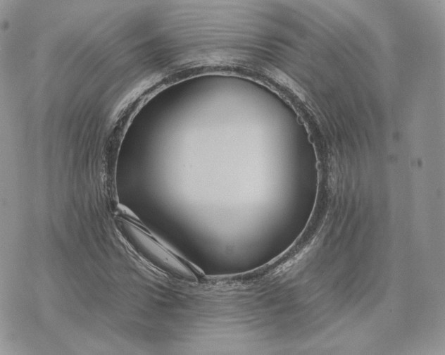 X0000075410922200609291702