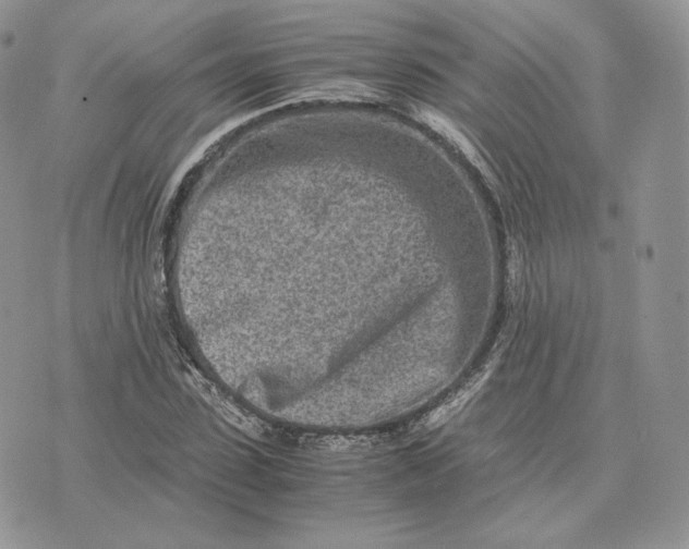 X0000075410923200609291702