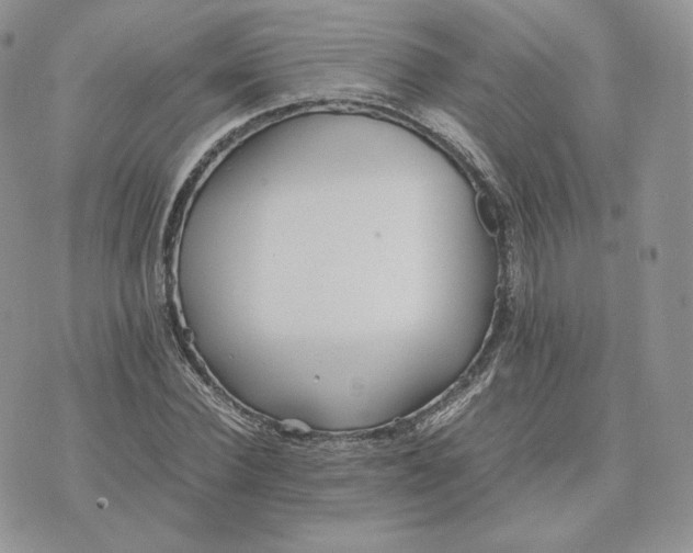 X0000075410924200609291702