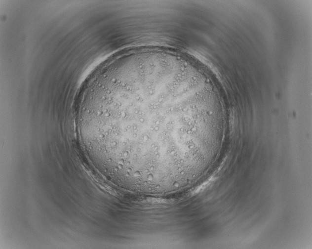 X0000075410925200609291702