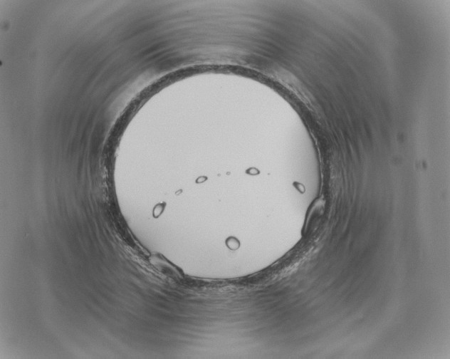 X0000075410926200609291702