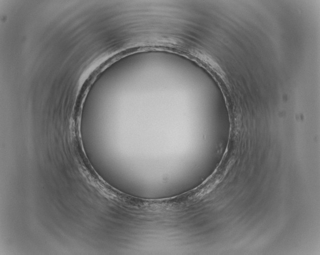 X0000075410928200609291702