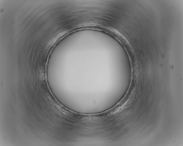 X0000075410929200609291702