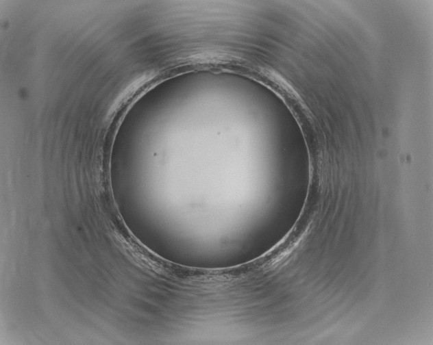 X0000075410930200609291702