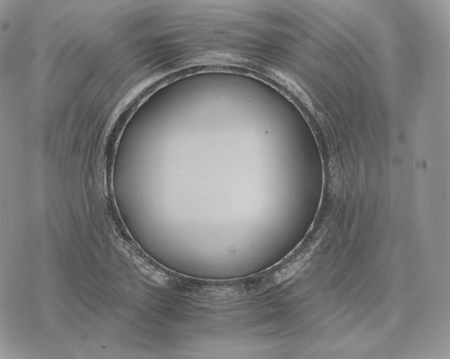 X0000075410931200609291702