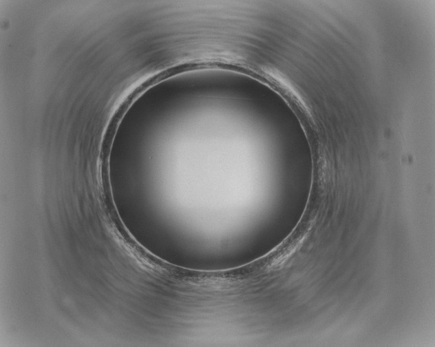 X0000075410932200609291702