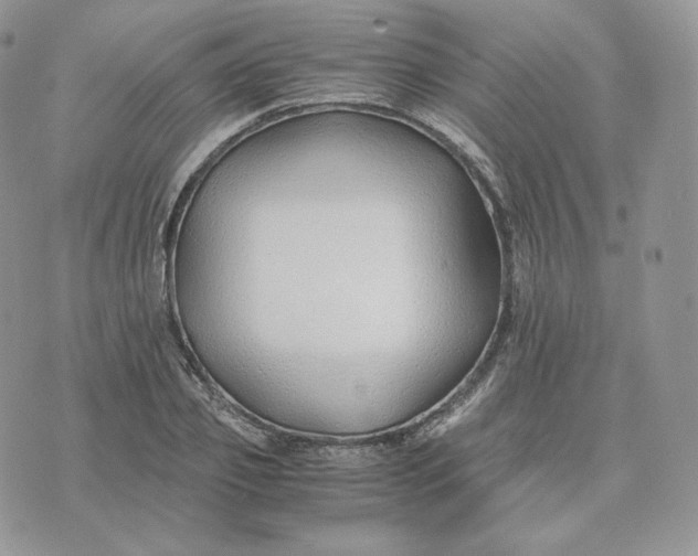 X0000075410933200609291702