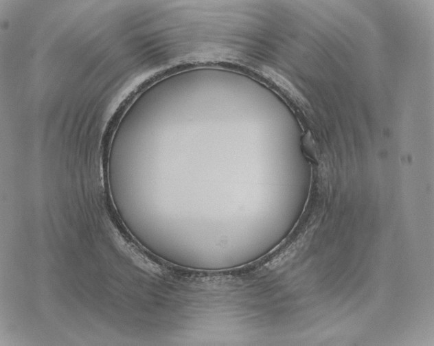 X0000075410934200609291702