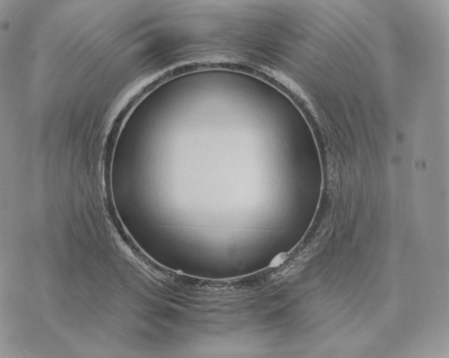 X0000075410935200609291702