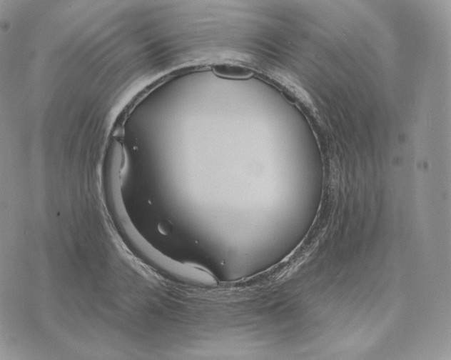 X0000075410936200609291702