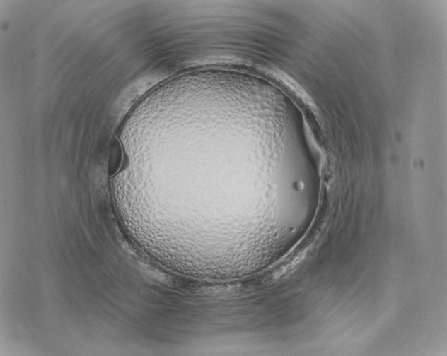 X0000075410937200609291702