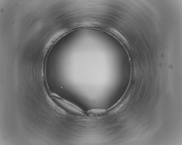 X0000075410938200609291702