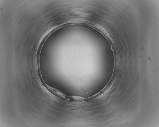 X0000075410939200609291702