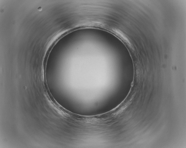 X0000075410940200609291703