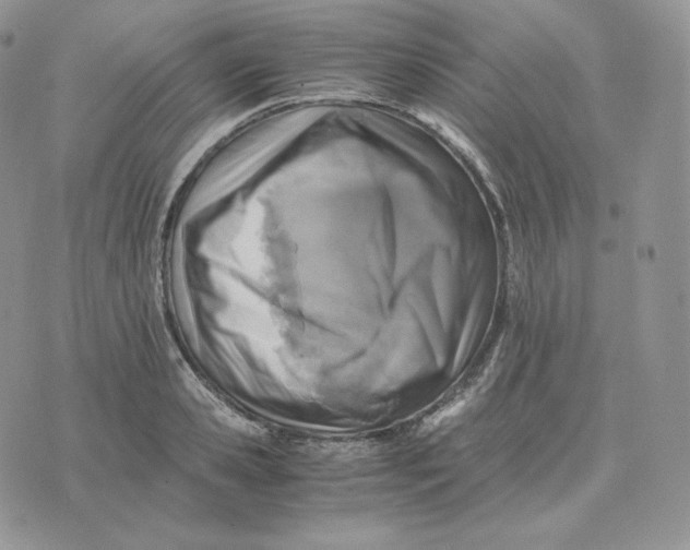 X0000075410941200609291703