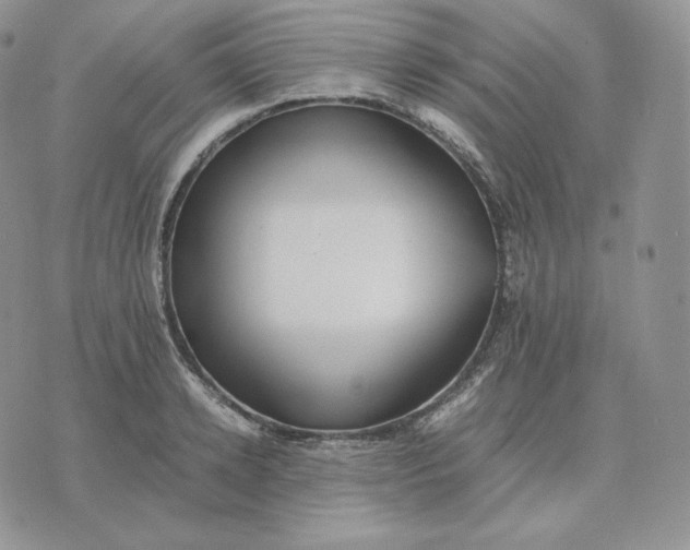 X0000075410942200609291703