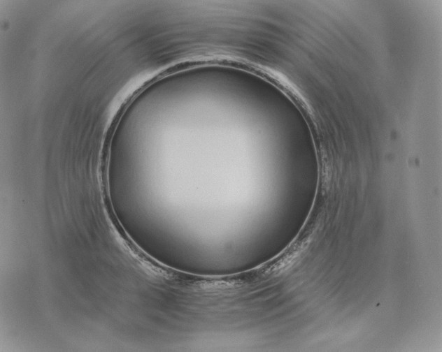 X0000075410943200609291703