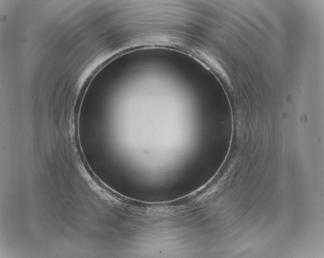 X0000075410944200609291703