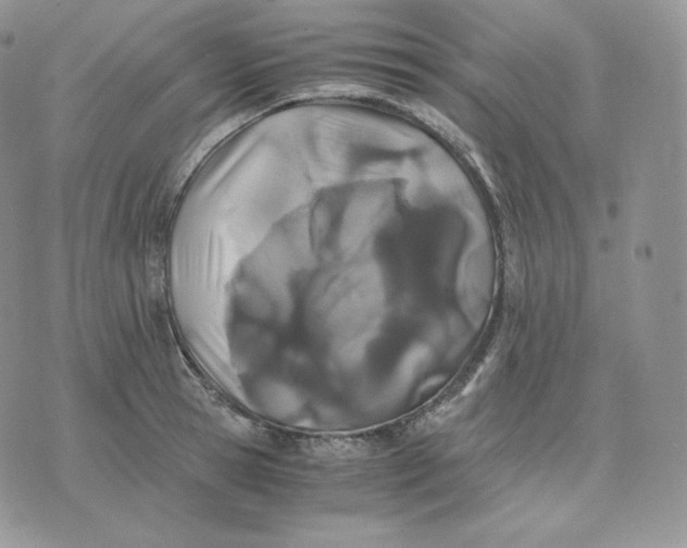 X0000075410945200609291703