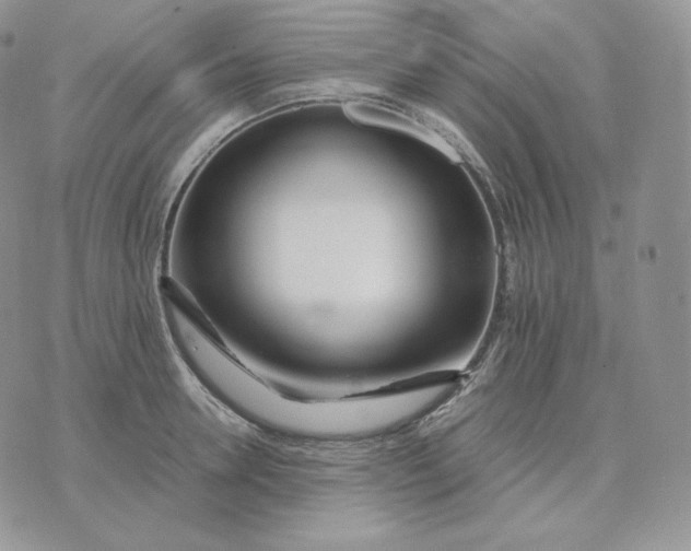 X0000075410946200609291703