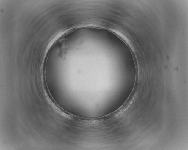 X0000075410949200609291703