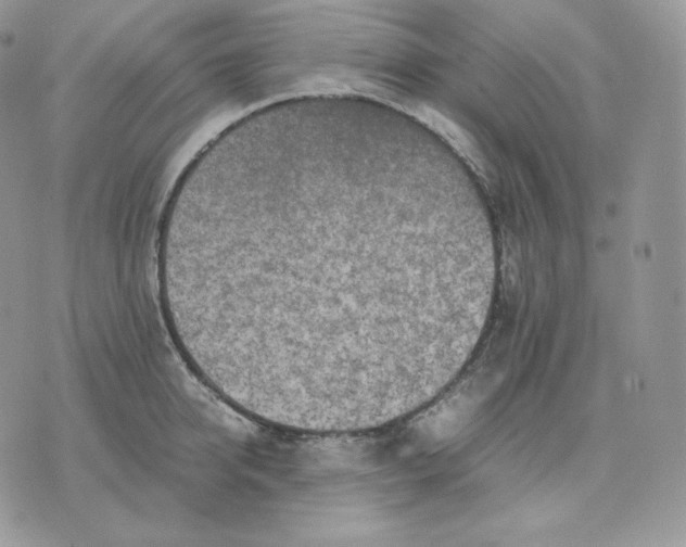 X0000075410950200609291703