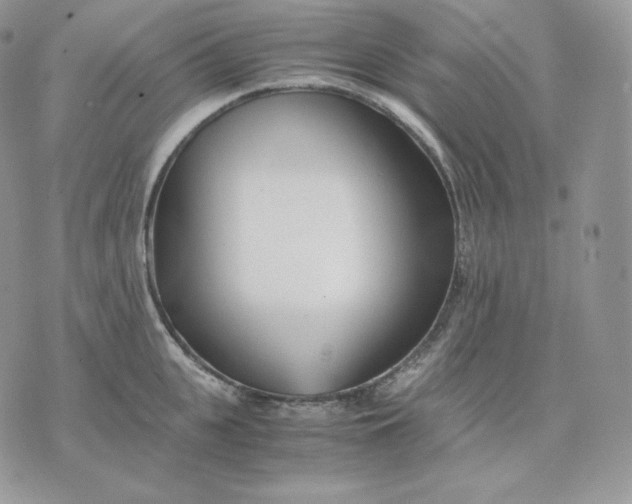 X0000075410951200609291703