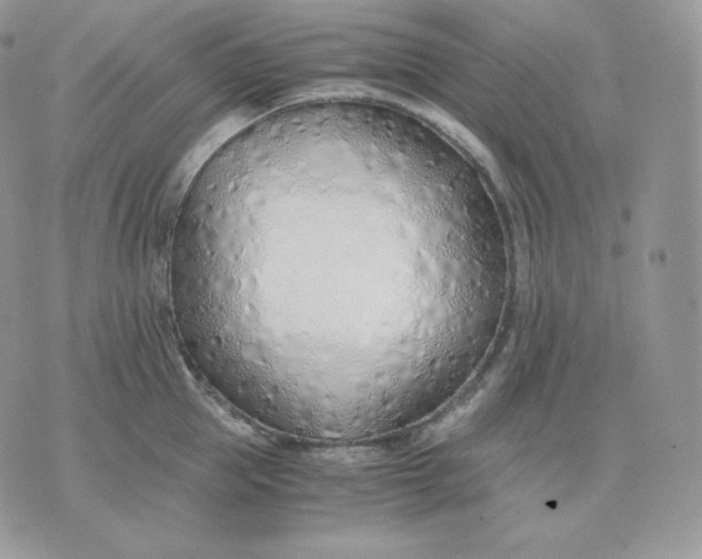 X0000075410953200609291703