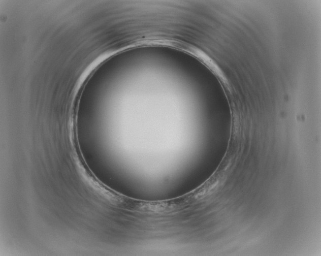 X0000075410955200609291703