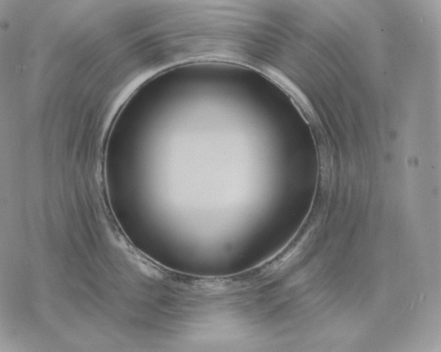 X0000075410956200609291703