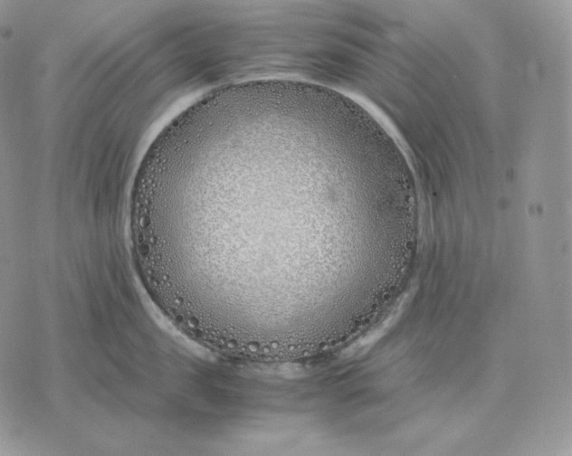 X0000075410957200609291703