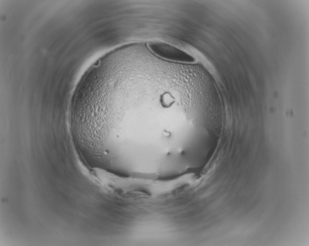 X0000075410958200609291703