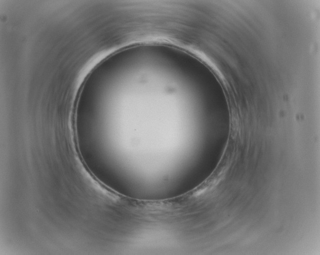 X0000075410959200609291703