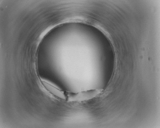 X0000075410960200609291703