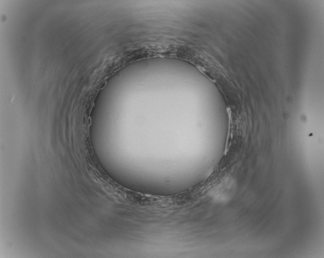 X0000075410961200609291702