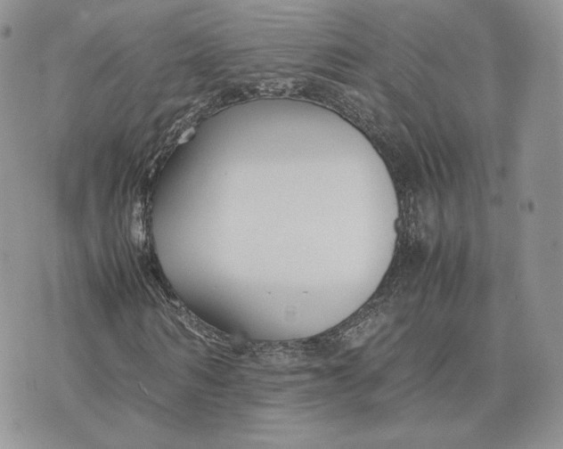 X0000075410962200609291702