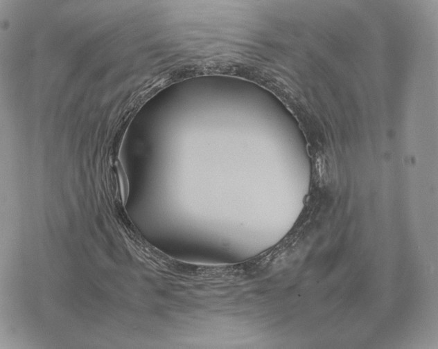 X0000075410963200609291702