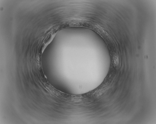 X0000075410964200609291702