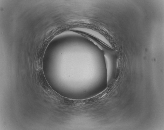 X0000075410965200609291702