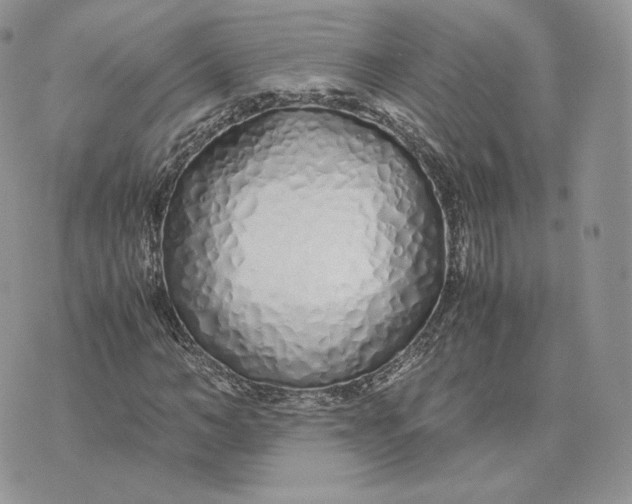 X0000075410966200609291702