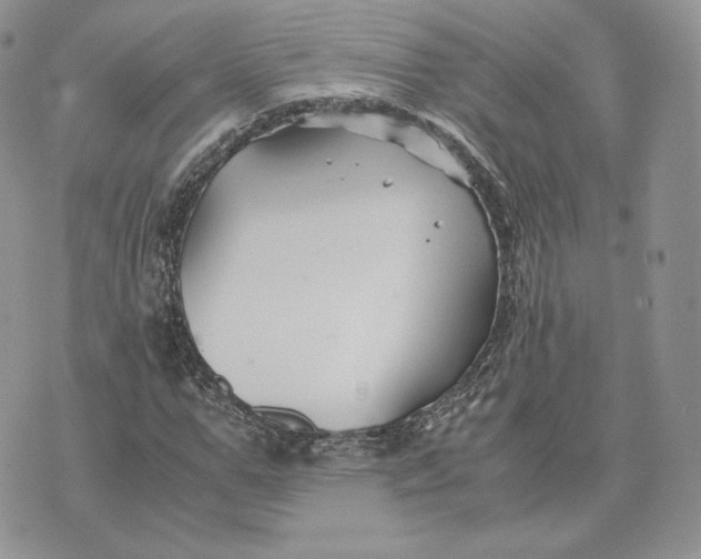 X0000075410967200609291702