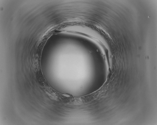 X0000075410968200609291702