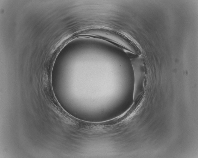 X0000075410969200609291702