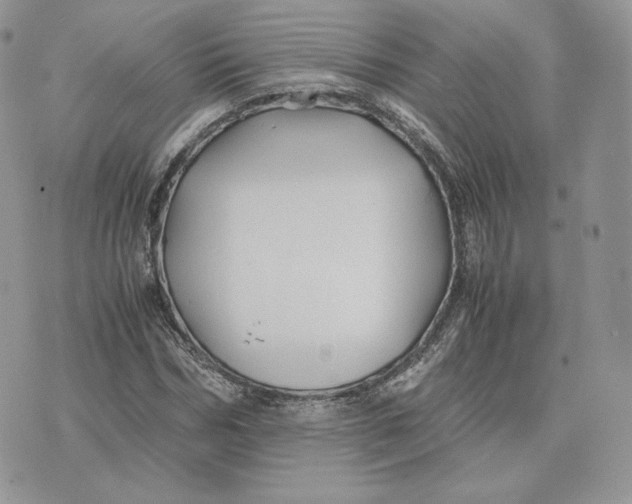 X0000075410970200609291702